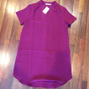 Business casual dress NEW W TAGS & NEVER BEEN WARN